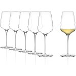 Verres a vin blanc cocoon lot de 6, 485 ml ¿ verres exquis pour vin blanc & apritif ¿ verres a vin ...