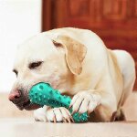 (vert) jouet de dentition pour chien, btonnet de dentition a mcher, os de nettoyage des dents, brosse ...