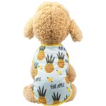 S vest - ananas v�tements pour animaux de compagnie t - shirt imprim� de fruits pour animaux de compagnie ...