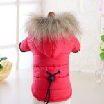 Veste coupe - vent rembourre pour petit chien, manteau pour chien, sweat a capuche chaud, habit de neige, ...