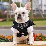 Veste tuxedo noire pour animaux de compagnie, manteau pour chien, costume de mariage avec nud papillon, ...