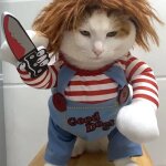 Vtements d'halloween pour chien et chat, costume amusant, chucky, mortel, beurre, ixcosplay, barrage, ...