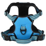 Vidaxl harnais pour chien avec laisse et collier r�glables bleu l