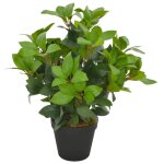 Vidaxl plante artificielle avec pot laurier vert 40 cm