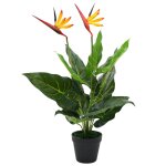 Vidaxl plante artificielle strelitzia reginae oiseau de paradis 66 cm Vidaxl plante artificielle strelitzia reginae oiseau de paradis 66 cm