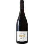 Vin rouge aoc cheverny 2024 les bruy�res pinot noir gamay 75 cl