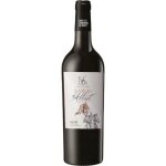 Vin rouge aop buzet baron d�albret 2023 75 cl