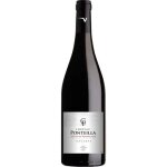 Vin rouge ch�teau ponteilla les vignes du vent r�serve 2022 aop c�tes du roussillon 75 cl
