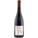 Vin rouge, domaine de rocheville, cuvee fou du roi, saumur champigny Vin rouge, domaine de rocheville, cuvee fou du roi, saumur champigny