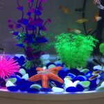 Xm 1x aquarium aquarium simulation etoile de mer aquarium paysage d�coration