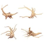 Xm 4 pc non toxique dcoratif durable plante d'aquarium - vivarium - terrarium - decoration vegetale ...