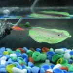 Xm aquarium brillant en silicone artificiel manta ray aquarium faux diable rayon ornement aquatique
