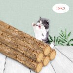 Xm bton de dentifrice matatabi actinidia fruit silvervigne chat 10 pices dents naturelles pour chat ...