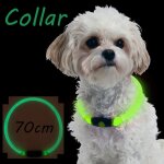 Xm collier de chien pour animaux de compagnie anti - perte s�curit� clignotant dans les chiens noirs ...