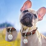 Xm collier pour chien animal de compagnie rond et personnalis� grav� personnalis� nom de la patte en ...