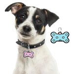 Xm collier de chiot en forme d'os d'identification des chiens collier grav� plaque de noms anti - perte ...