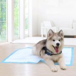 Xm couche jetable de 50 pièces couche pour chien de compagnie tapis de pichet d'entraînement super absorbant ... Xm couche jetable de 50 pièces couche pour chien de compagnie tapis de pichet d'entraînement super absorbant ...