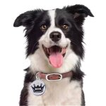 Xm etiquettes d'identification personnalis�es pour chiens etiquettes personnalis�es pour chiens chats ...