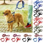 Xm harnais et collier de traction pour chiens 3 pi�ces laisse de traction pour chiens en plein air chiot ...