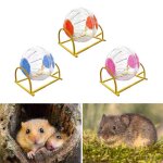 Xm jouets en plastique pour animaux de plein air petites billes de sport pour animaux de compagnie souris ...