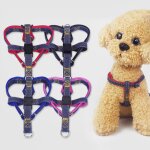 Xm laisse elastique en denim pour chien 3 pièces collier de ceinture de poitrine corde de marche en plein ... Xm laisse elastique en denim pour chien 3 pièces collier de ceinture de poitrine corde de marche en plein ...