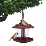 Xm mangeoire pour oiseaux distributeur d'arachides accrochable conteneur outil d'alimentation de jardin ...