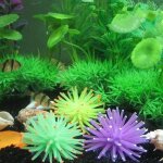 Xm silicone artificiel 1 pi�ce d�coration d'aquarium aquarium anemone de mer aquarium plante de corail ...