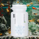 Xue 50g tout usage mousse aquarium aquarium algicide ménage comprimé sûr efficace contrôle des algues ... Xue 50g tout usage mousse aquarium aquarium algicide ménage comprimé sûr efficace contrôle des algues ...