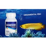 Xue aquarium algicide eau algues contrôle aquarium mousse dissolvant 50g Xue aquarium algicide eau algues contrôle aquarium mousse dissolvant 50g