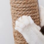 Xue dispositif de meulage colonne de grattage chats chats ventouse chats cadre d'escalade anti - rayures ...