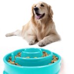 Xue manger gamelle pour ingestion lente anti - etouffement escargot forme chiens chat nourriture alimentation ...
