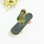 Xue mini skateboard intressant pour caloctes perroquet oiseau jouets de sport sur pied ju06