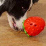 Xue pet gamelle pour ingestion lente chien jouet mignon en caoutchouc dr�le jouet de balle de chien pour ...