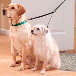 Xui laisse de traction pour chien de compagnie 1 pi�ce, laisse de plomb, corde de traction deux voies ...