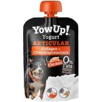 Yaourt articulaire - yowup! - 115gr - collagne - glucosamine - chondrotine - sans lactose