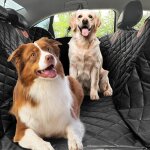 Yemaesre - couverture pour chien avec dessous dur, impermable, rsistante aux rayures, tapis de protection ...