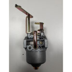 Carburateur lg / gt / t / r pubert 3000315108184