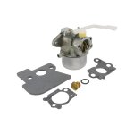 Carburateur tondeuse moteur briggs et stratton - 694203 0024847261684 Carburateur tondeuse moteur briggs et stratton - 694203 0024847261684