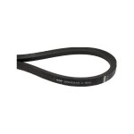 Courroie entrainement des lames ggp - 135062027 / 0 7313323179227