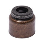 Joint de queue de soupape briggs et stratton - 794086 0024847592450 Joint de queue de soupape briggs et stratton - 794086 0024847592450