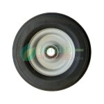 Roue pleine d 300 x 100 p m4 - 25 delmorino 42900004 3666973001603
