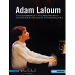 Adam laloum au festival de verbier 2010 ; oeuvres de schumann, debussy, schubert et brahms
