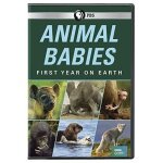 Animal babies: first year on earth [dvd]