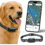 Asfasfq - bixar viva plus ¿ traceur gps 4g chien sans abonnement à payer 12 mois inclus localisation ... Asfasfq - bixar viva plus ¿ traceur gps 4g chien sans abonnement à payer 12 mois inclus localisation ...