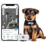 Asfasfq - traceur gps chien - collier gps pour chien alertes intelligentes et go - clture - mode d'conomie ...