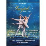 Les ballets f��riques : cendrillon - copp�lia - la belle au bois dormant - le lac des cygnes. muntagirov, ...