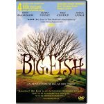 Big fish Big fish