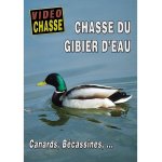 Chasse du gibier d'eau - canards, bcassines. . .