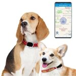 Collier localisateur gps pour animaux etanche ip67 avec suivi 4g wifi lbs blanc yonis