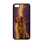 Coque pour apple iphone 5c vrai bois silicone chien design etui housse animaux violet labrador 4g animal ...